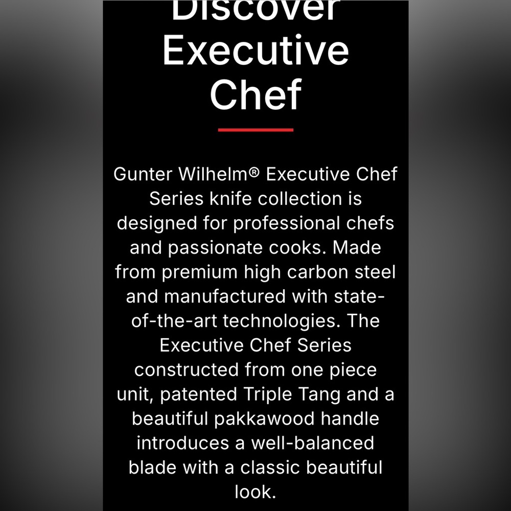 GUNTER WILHELM 10” Executive Chef Series Ice Hardened German Steel - Picture 5 of 5